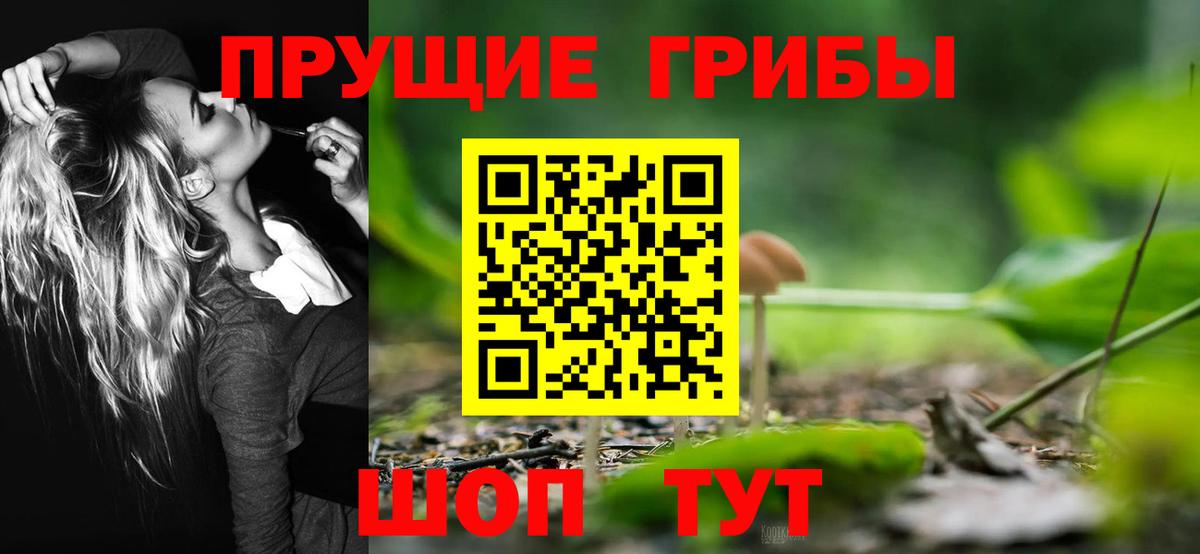 Псилоцибиновые грибы Cubensis Обь