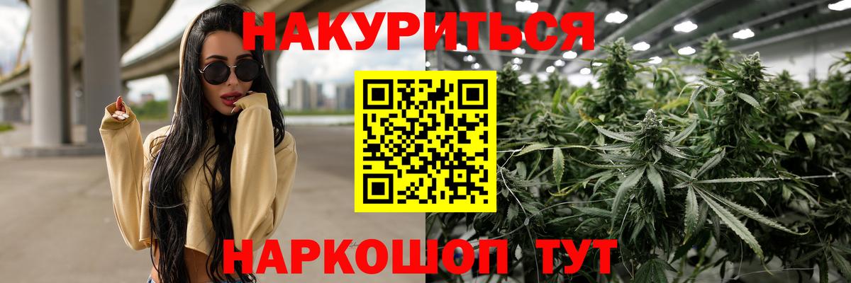 МАРИХУАНА гибрид Обь